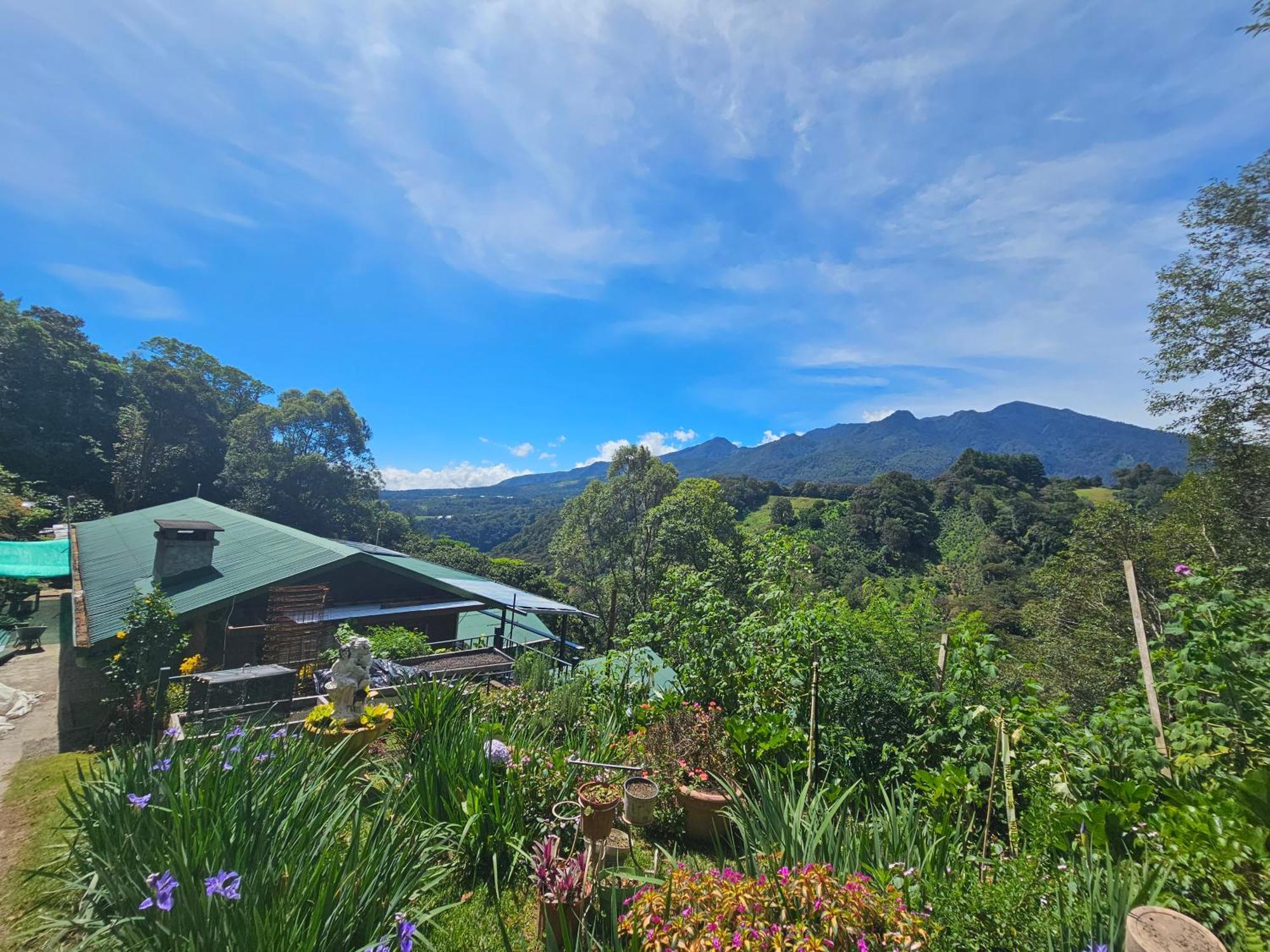 Eco Horqueta Bed & Breakfast โบเกเต ภายนอก รูปภาพ