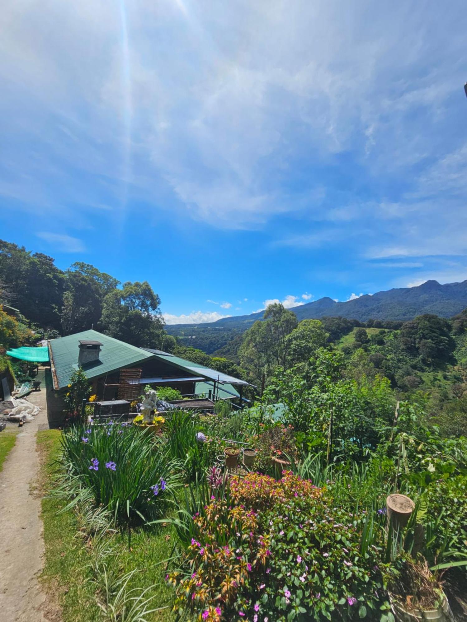 Eco Horqueta Bed & Breakfast โบเกเต ภายนอก รูปภาพ