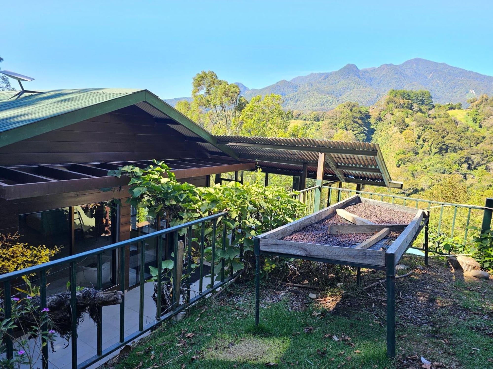 Eco Horqueta Bed & Breakfast โบเกเต ภายนอก รูปภาพ