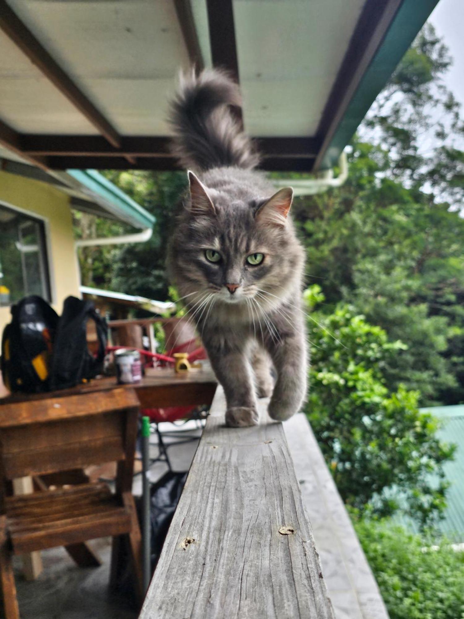 Eco Horqueta Bed & Breakfast โบเกเต ภายนอก รูปภาพ